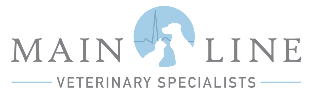 Main Line Veterinary Specialists Home