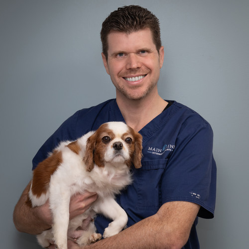 Simon Dennis, BVetMed, MVM, DECVIM